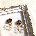 秋冬小枝 ☆leopard☆