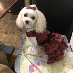 ♡C様専用ページです♡