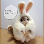 【オーダー品】癒しの妖精✿momoちゃん　まん丸うさぎバージョン6