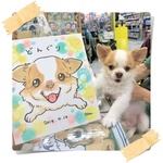 オーダーメイド♡ペット似顔絵
