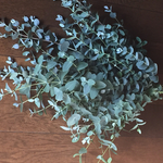 お花屋さんが作ったユーカリのフレッシュスワッグ②