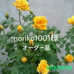 noriko1001様オーダー品