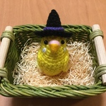 ぴー子さま♡専用ページ: セキセイインコちゃん ハロウィン帽子付き（ルチノー）&ハロウィン帽子 紫&オレンジ 