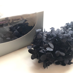 アジサイ  ブラック