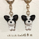 chicchigmb様専用ページ