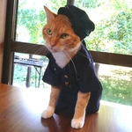 猫のポリス　バラエティーパック