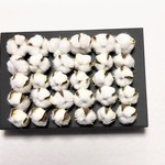 【綿の実(小)：３０個】