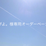 ぴよ。様専用オーダーページ