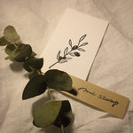 植物シリーズ