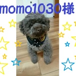 犬・猫の首輪　27～29　cocoちゃんネクタイチョーカーNEO　海軍・ミリタリー・アメリカ・迷彩・グレー　
