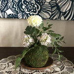 かわいい苔玉オブジェ