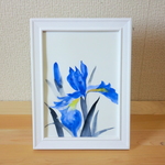 顔彩原画『菖蒲の花』　額縁付き