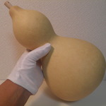 天然ひょうたん 大①　