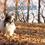 羊毛フェルト ハンドメイドshoko3035様 オーダーページ  
