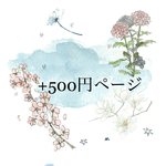 +500円購入ページ