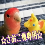 《さおこ様専用》☀️インコちゃんのおもちゃ☀️２点セット☀️