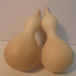 天然ひょうたん 中 セット⑥