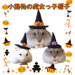 小動物の魔女っ子帽子