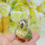観賞用)ちっちゃリアルなインコさん(ワキコガネウロコインコ・)