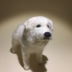 フェルト犬  ピレニーズさん　<MW134>
