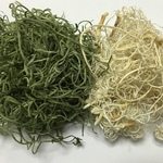スパニッシュ モス グリーン&ホワイト  ドライフラ  ワー.   d