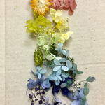 ハーバリウム花材セット レインボーカラー