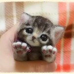 クロアシネコの赤ちゃん