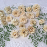 送料込み ミニ薔薇のドライフラワー