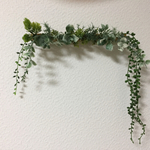壁掛けグリーンインテリア🌿