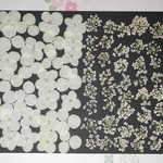 押し花商品【レースフラワー、アナベル】