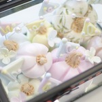 vegako様オーダ品・パステルカラーかぼちゃのボックスアレンジ