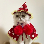 魔女っ子にゃんこ🧙‍♀️(赤)
