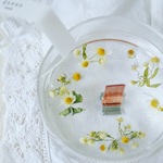 FLOWER JELLY CANDLE ハルジオン