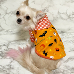 犬服 ハロウィン✖️ギンガムチェックパーカー