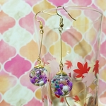 ハーバリウムピアス