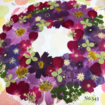 ♡new♡ 送料無料！¥1600 ♡たっぷり押し花セット♡
