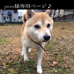 peroさま愛犬ちゃん リールキーホルダーミニ