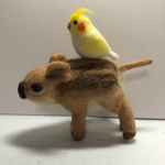 羊毛フェルト♡うりぼうとオカメインコ