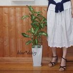 No.7 リネンストライプWスカート