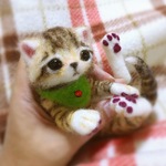 おねがいにゃんこNo.234