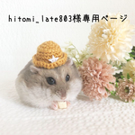 hitomi_late803様専用ページ