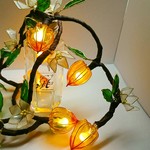 ほんのり暖かな色の鬼灯ランタン