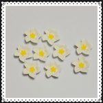 13mm 10個☆フラワーカボション プルメリア