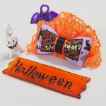 犬リボン　パンプキン🎃