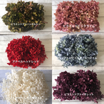新色入荷‼️色変え可♡ハーバリウム花材プリザーブドフラワーアジサイ6色小分け