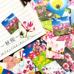 【再販3】－秋桜－  赤ずきんの気まぐれシール(40枚入り)