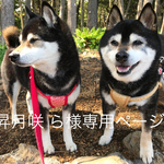 昇月咲ら様専用ページ