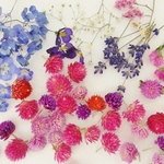 花　いっぱい　花材　ドライフラワー