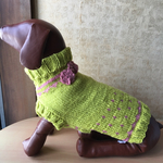 グリーンお花畑のかわいい犬のセーター
