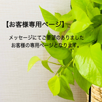 ＊coco217様専用ページ＊